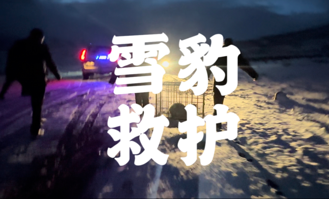 接力救护凌小芒