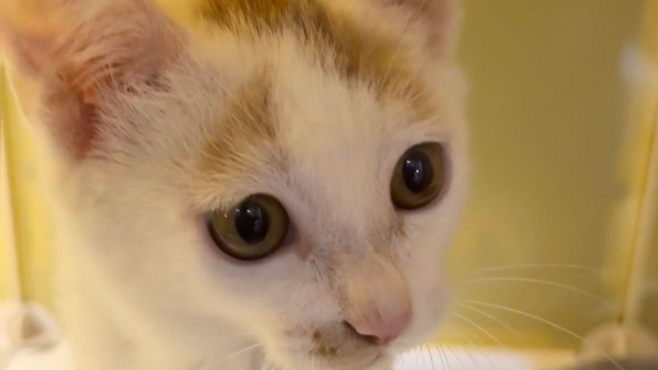 哥们打游戏是真有天赋