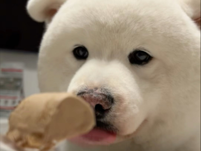 脂肪没地方长了 长眼睛上去了？