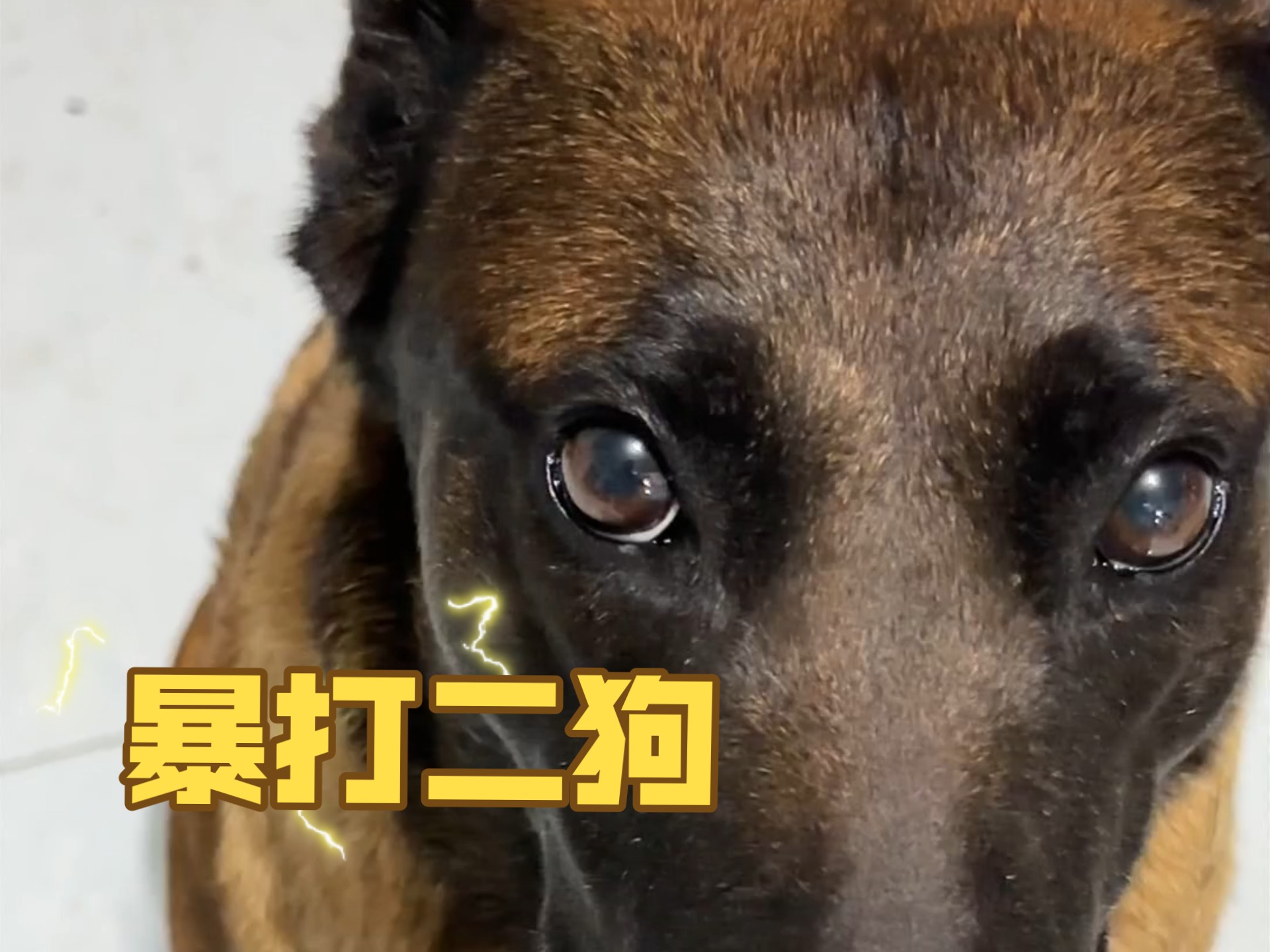这一期。打工人和马犬嬢嬢，狠狠共情了！！！