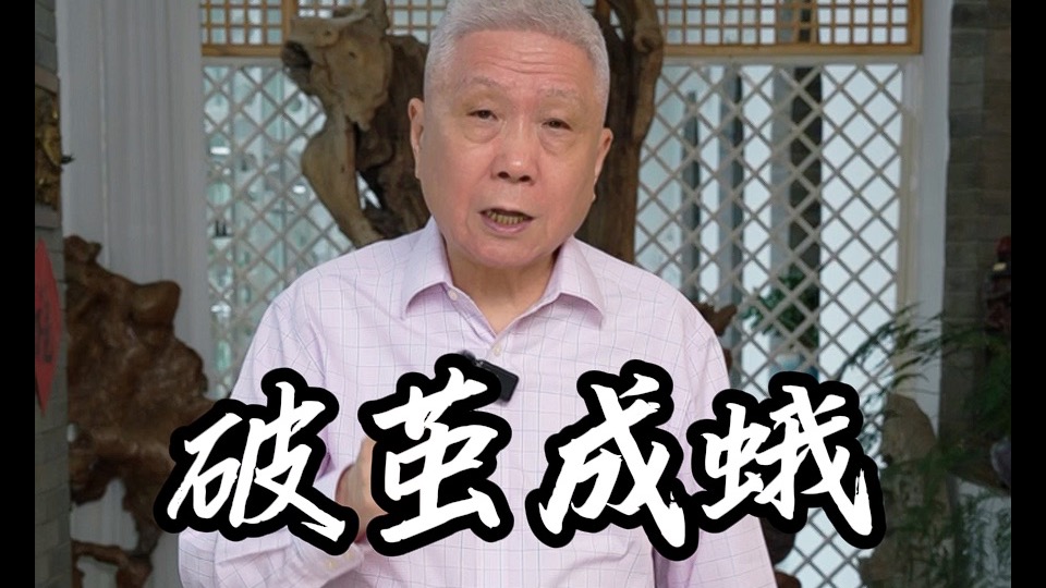 由“破茧成蛾”引申出了一个问题...