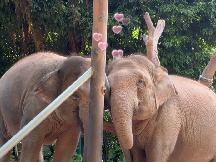 也不怪游客说你们是俩口子