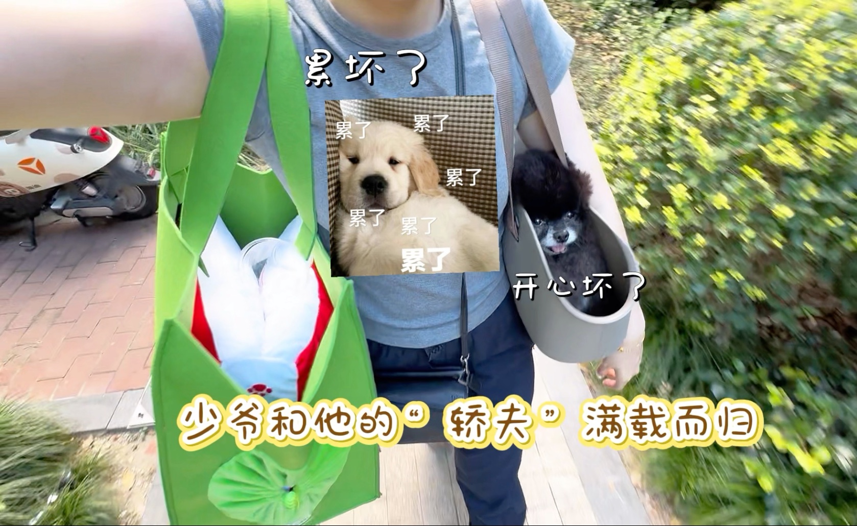 少爷：我希望每天都是亚宠展，我就很开心