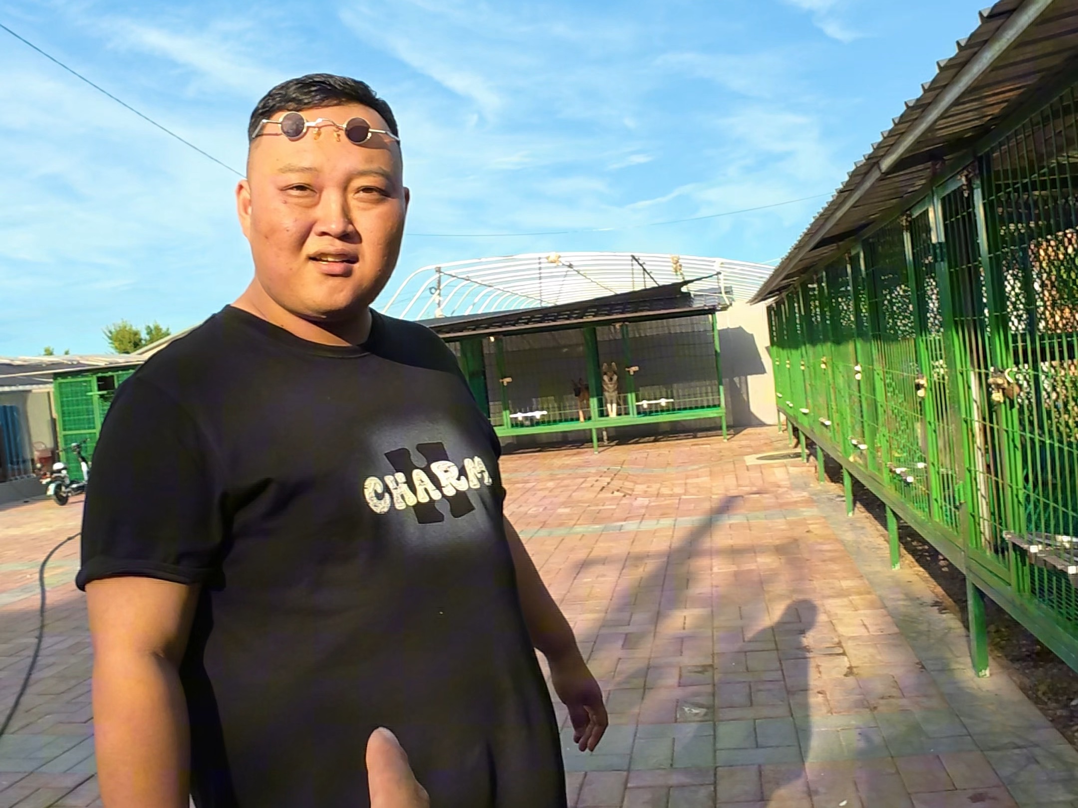 【潘宏爱玩狗】最新视频来袭，快来看看吧！