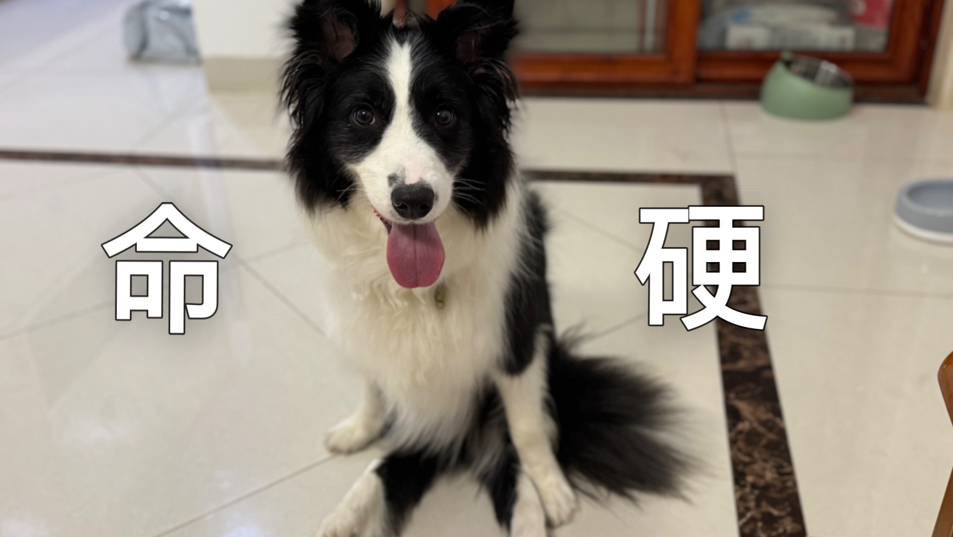 命！硬！