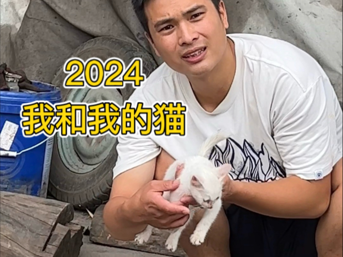 这是我和白泽的故事