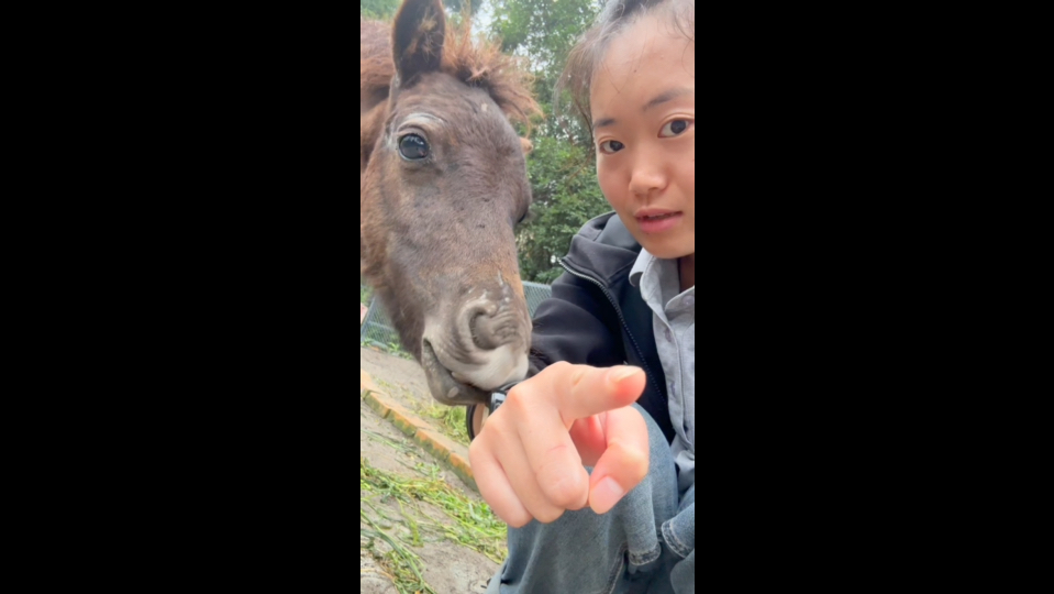 最坚强的小马驹❤️，治疗了将近半个月，终于在慢慢恢复了！
