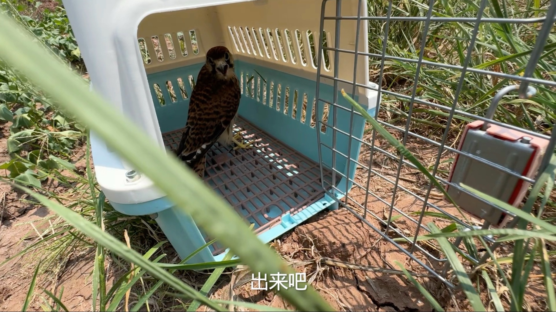 在人类这生活这么久，出去够你吹一辈子了