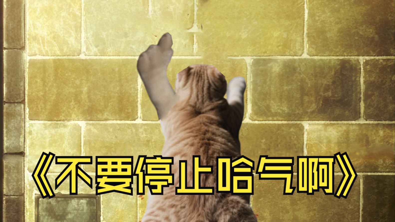 哈基人唱歌基米④【耄耋文学 番外篇】