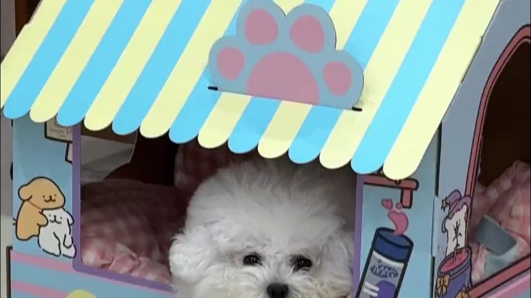 一听洗澡比我还积极