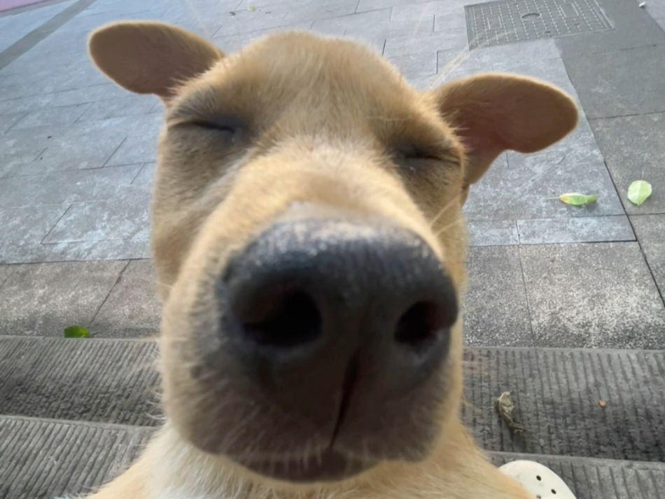 今天的凑凑凑凑tom