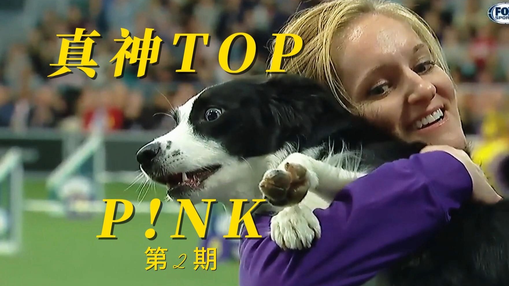 敏捷赛真神TOP：P!nk！你若跑敏捷，见我如一粒蜉蝣见青天