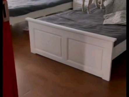 海狗以为我没资格上桌，每天偷偷给我送早饭