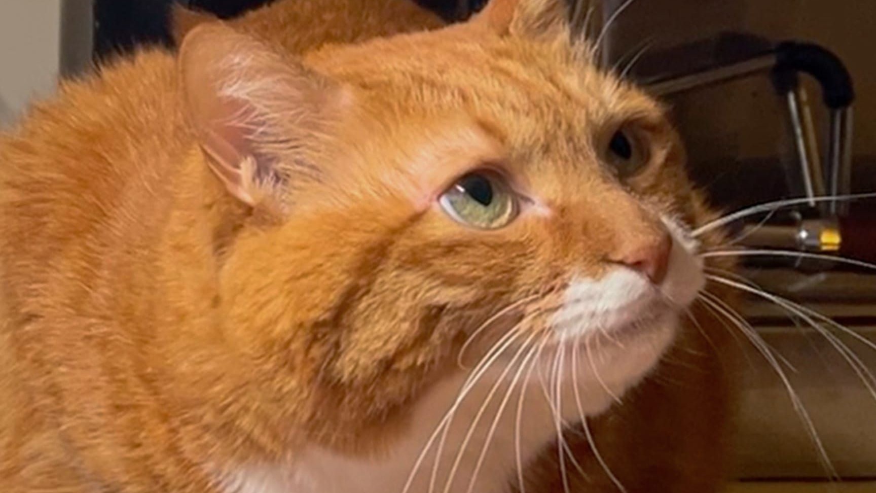 “说了不让抱非要抱我”