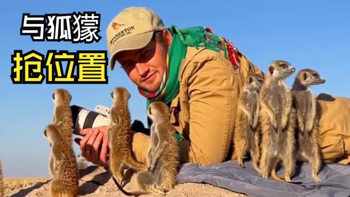 那些欢乐的动物视频！