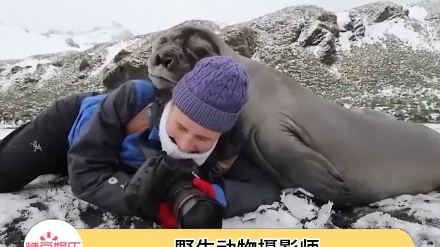 梦中情工作  野生动物摄影师