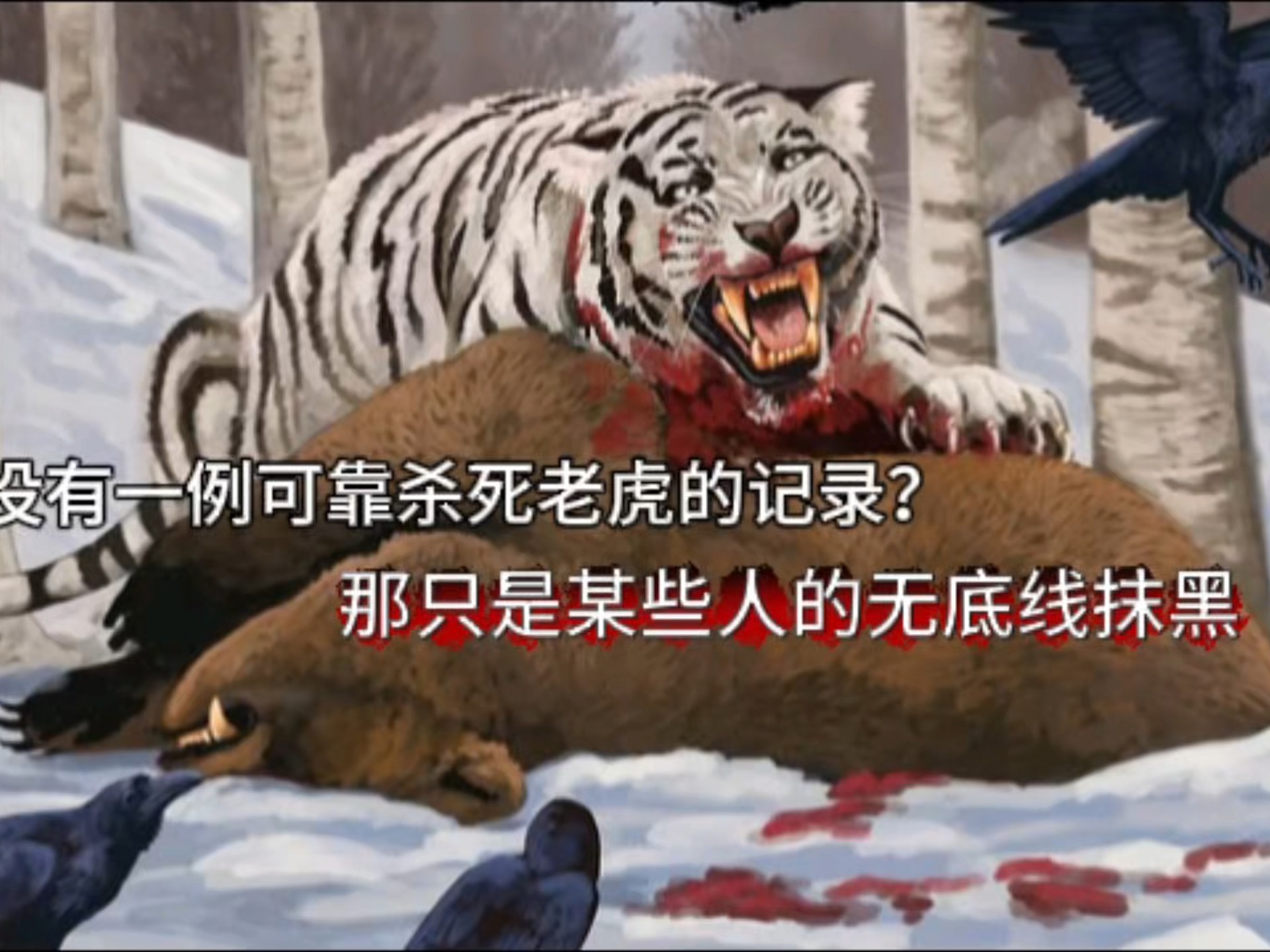 棕熊杀虎没有一例可靠的记录？某些人造谣抹黑的时候也不看一下