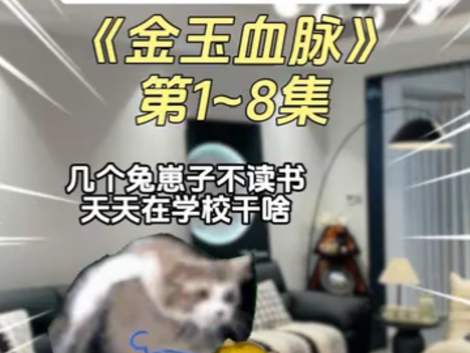 金玉血脉1~8集