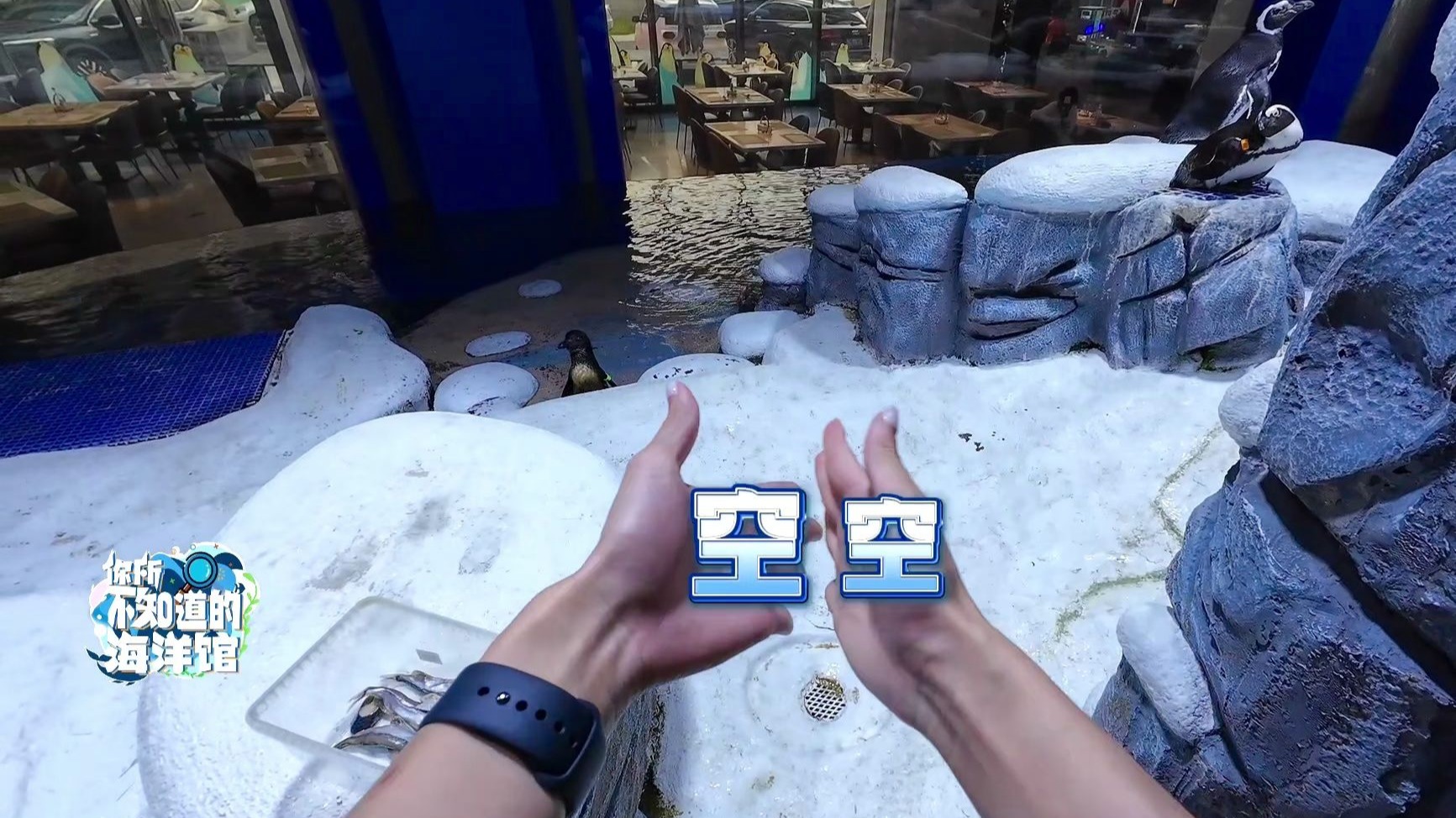 “摸鱼”惨遭最大滑铁卢，一根毛都没薅上！！！