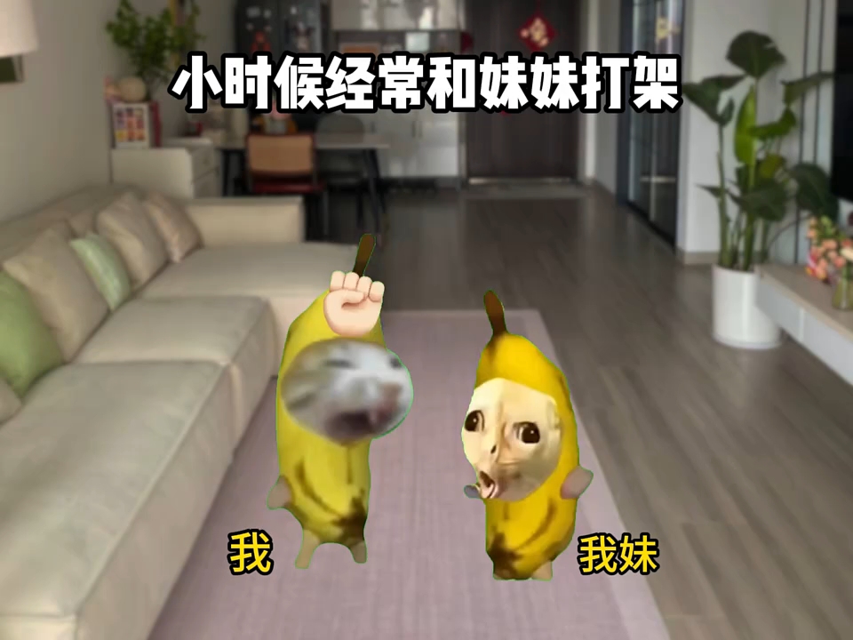 小时候经常和妹妹打架 #猫meme #猫meme小剧场 #搞笑