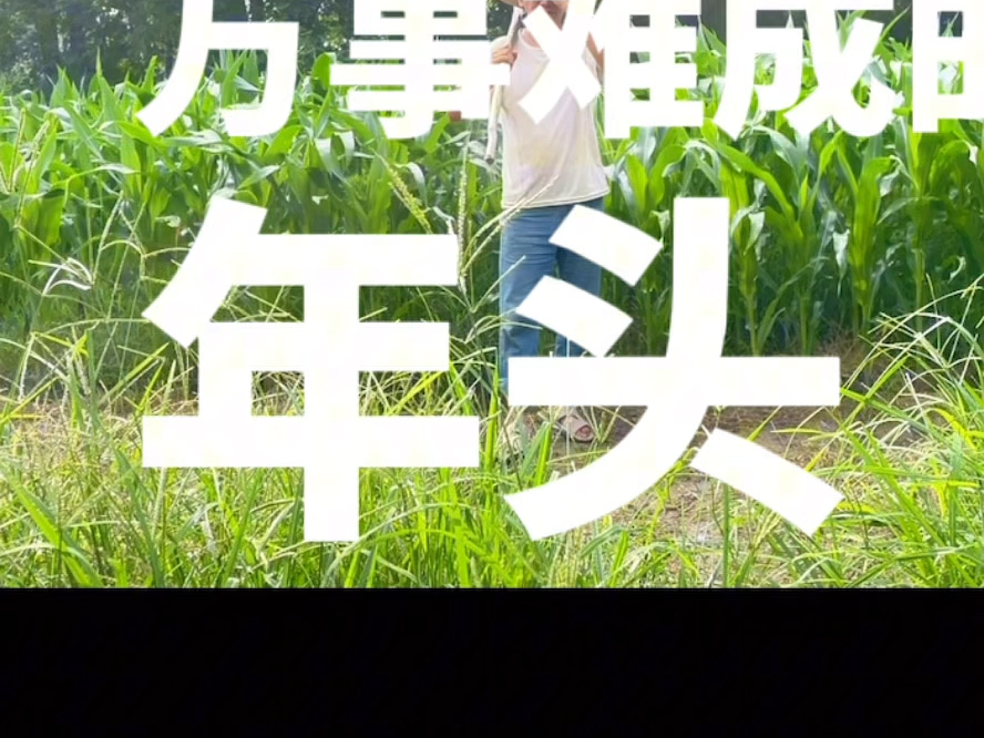 总有出人头地的那一天