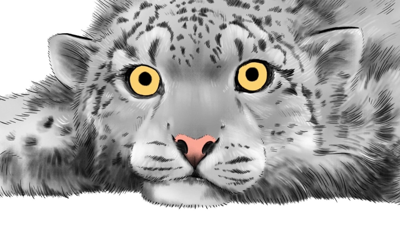 不能厚此薄彼，有凌小芒的也要有凌小蛰的