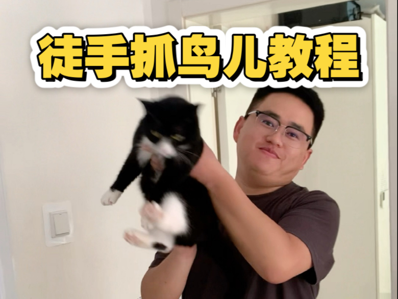 关于老公莫名其妙的非要教大家抓猫技巧