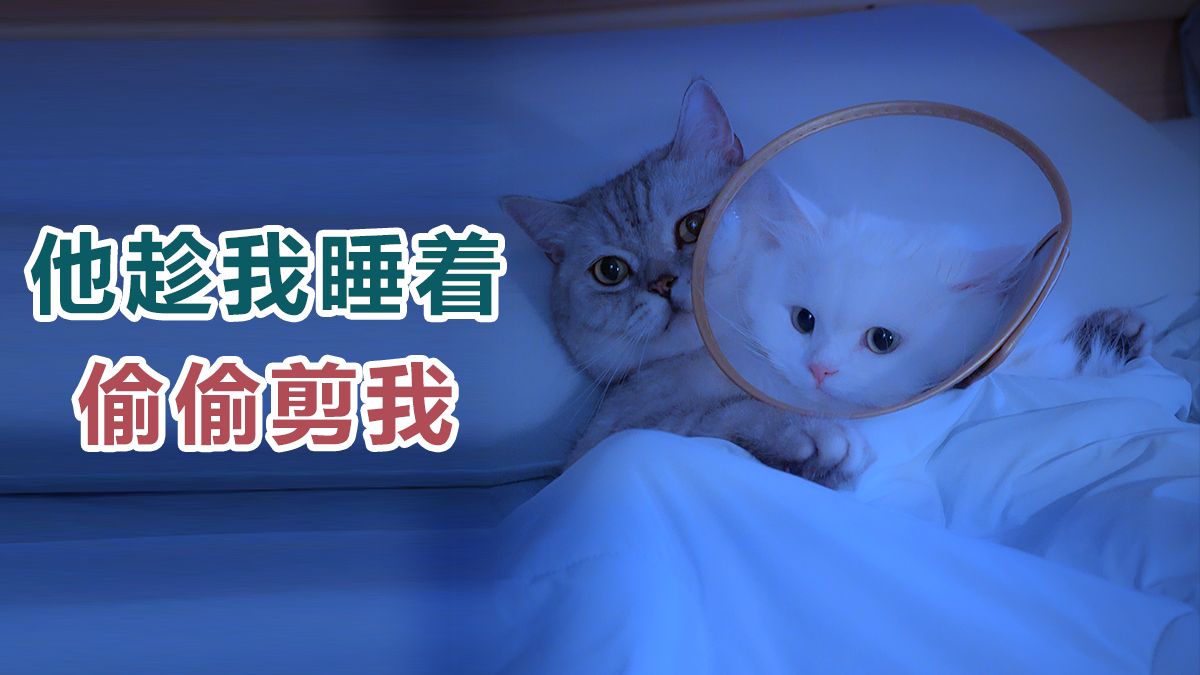 在“男女那点事儿”上，我的发育有些滞后…