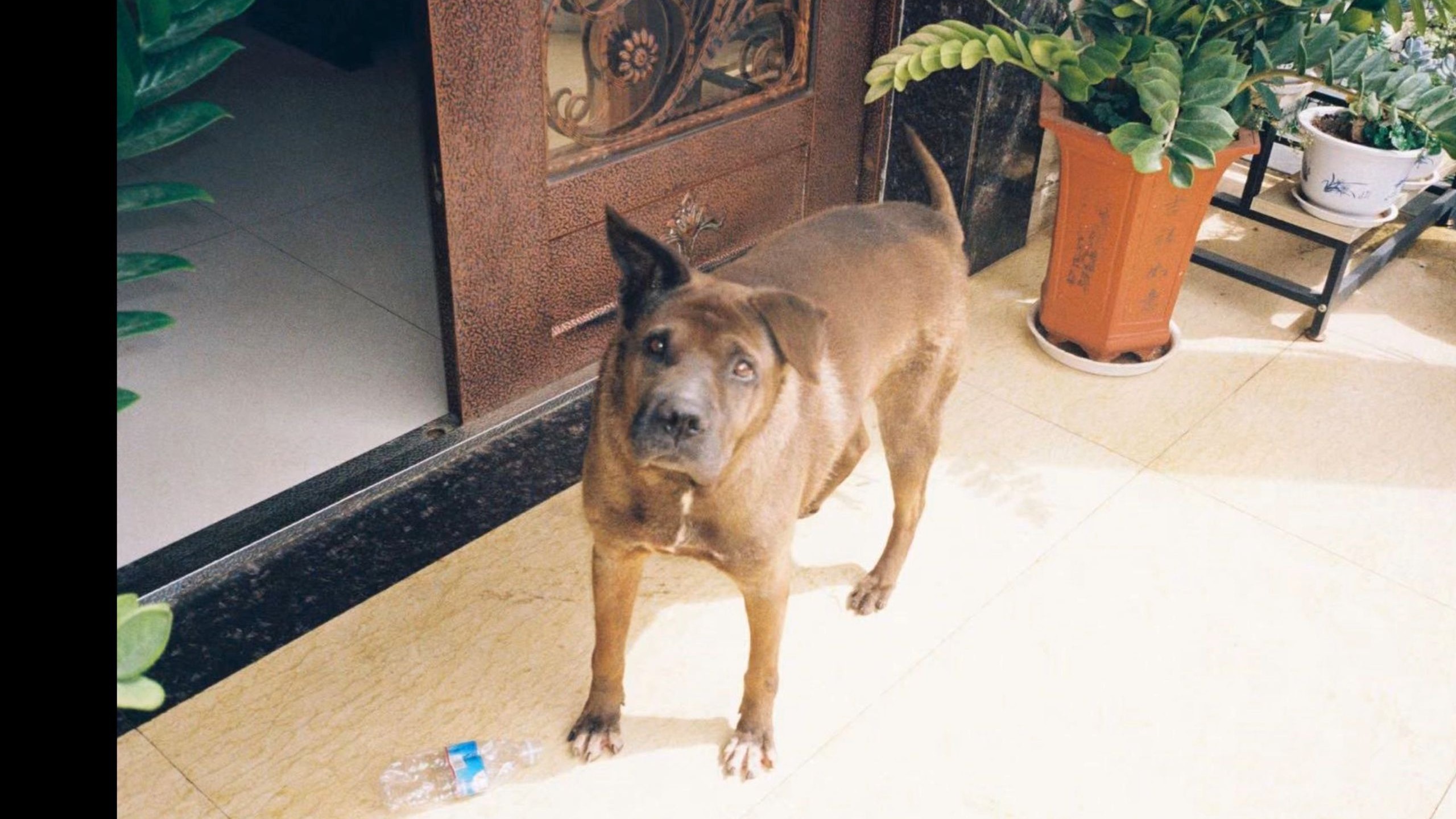 我在另一个世界，看到了像你的身影