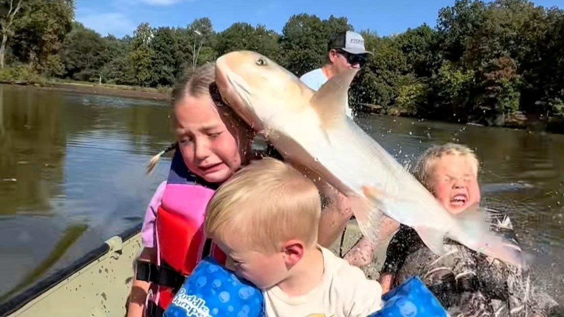 孩子们以后对鱼会不会有阴影…？