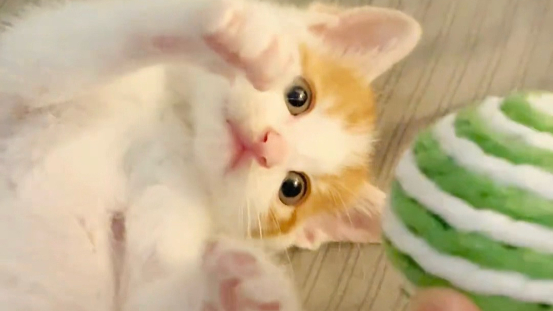 大学特产，带一个回去