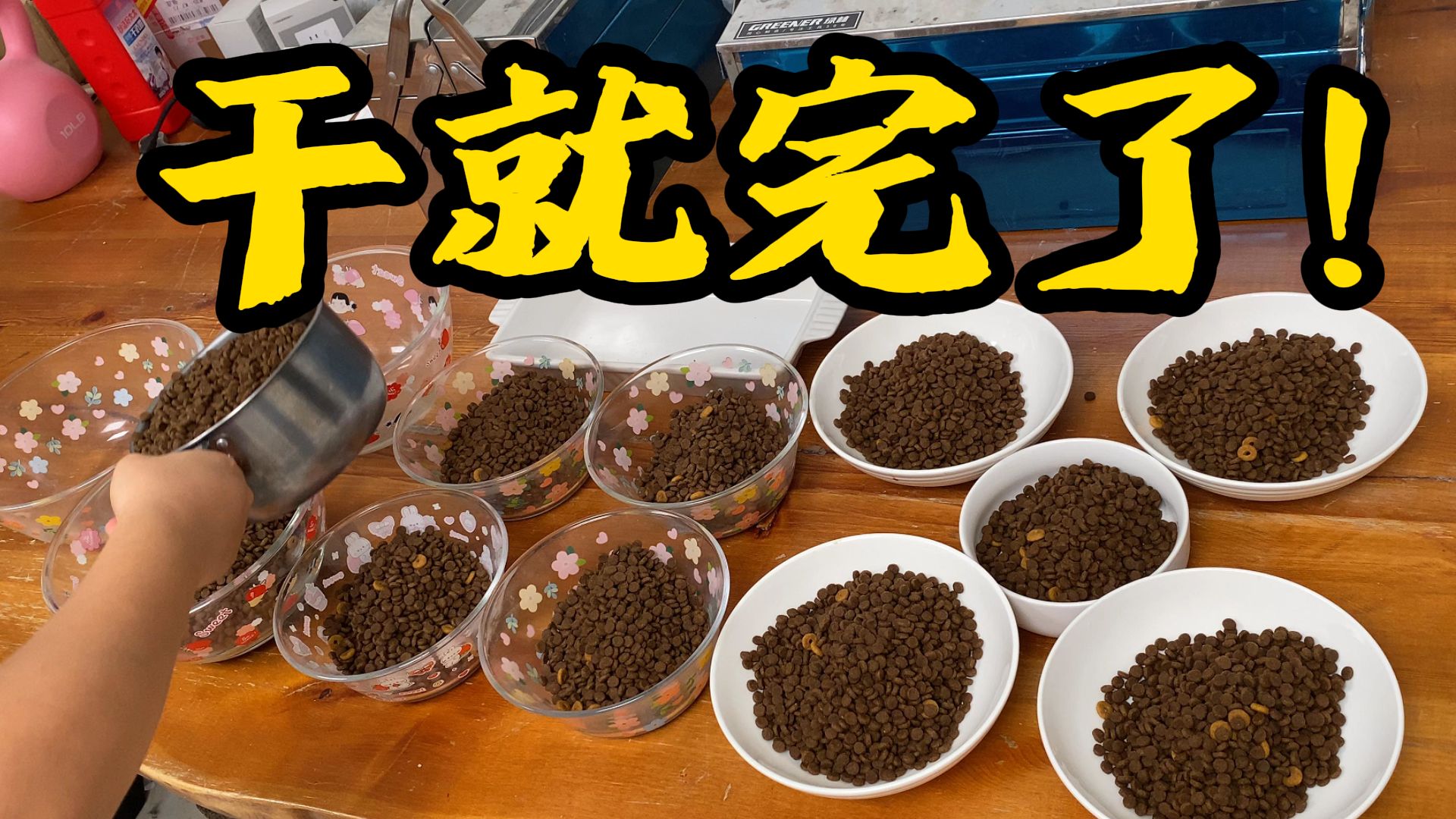 个人救助50只猫，每天要干多少活？