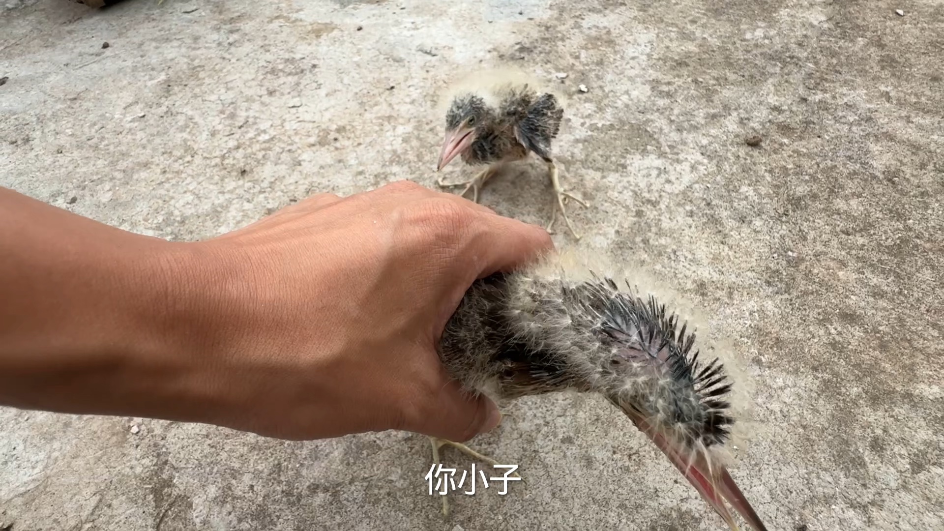 五花大绑十天，腿终于好了