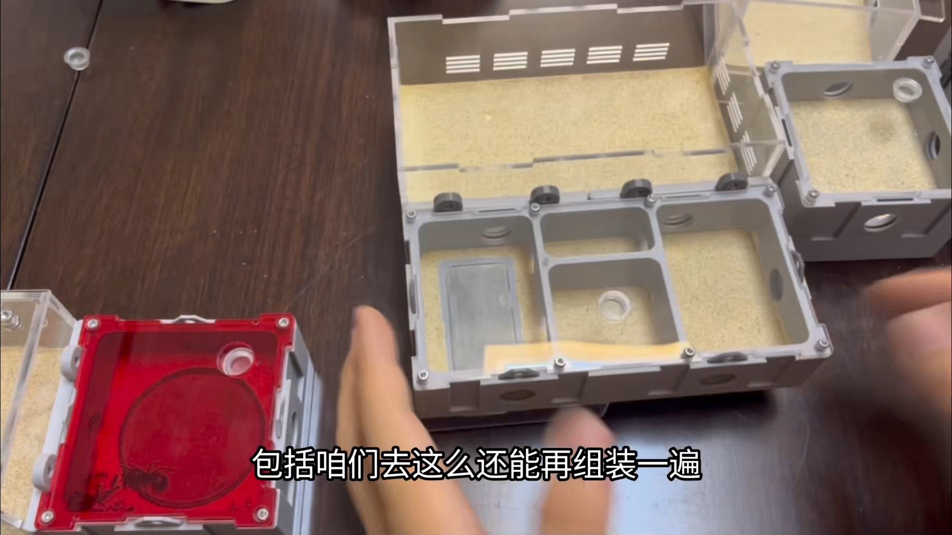 无限拓展平面蚁巢抽奖开始