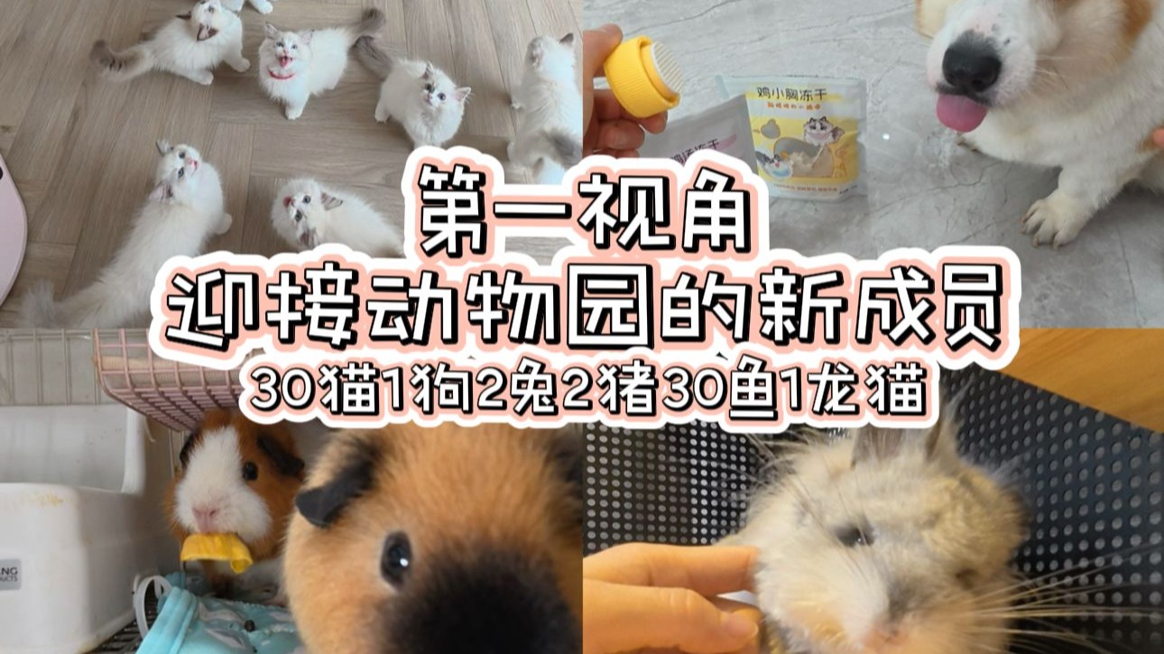 第一视角｜迎接动物园的新成员