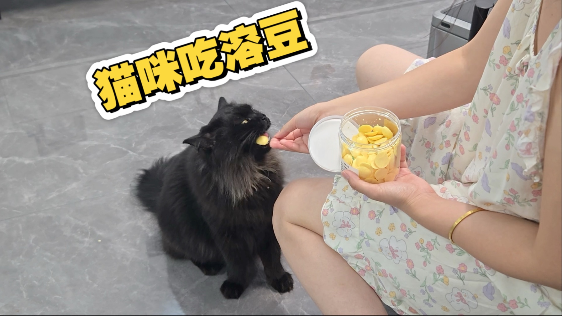 小猫咪最爱吃蛋黄溶豆啦