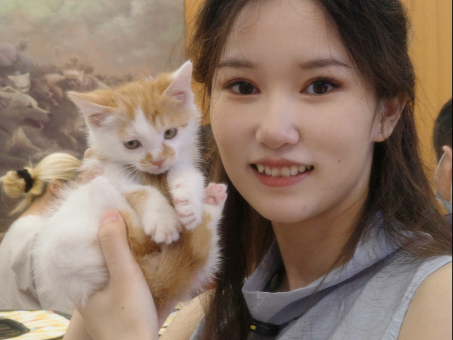 小贼虽然没找到家但造福了其它猫猫