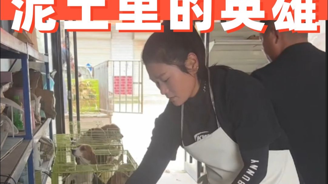 救了300只实验犬的她，被人扒出是狗贩子？