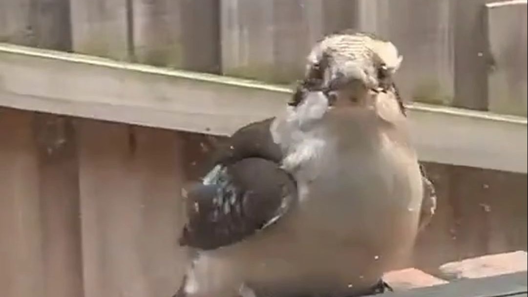 我想知道你的主业是干什么的