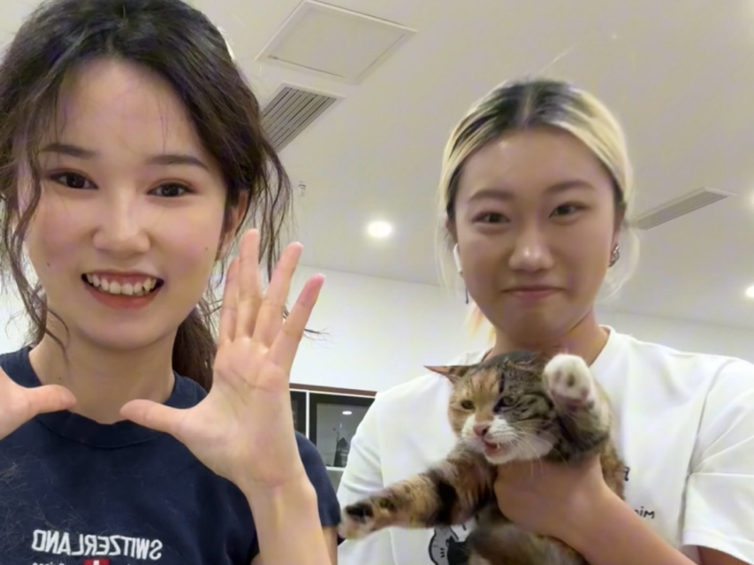 井下大猪被领养后怎么样了？