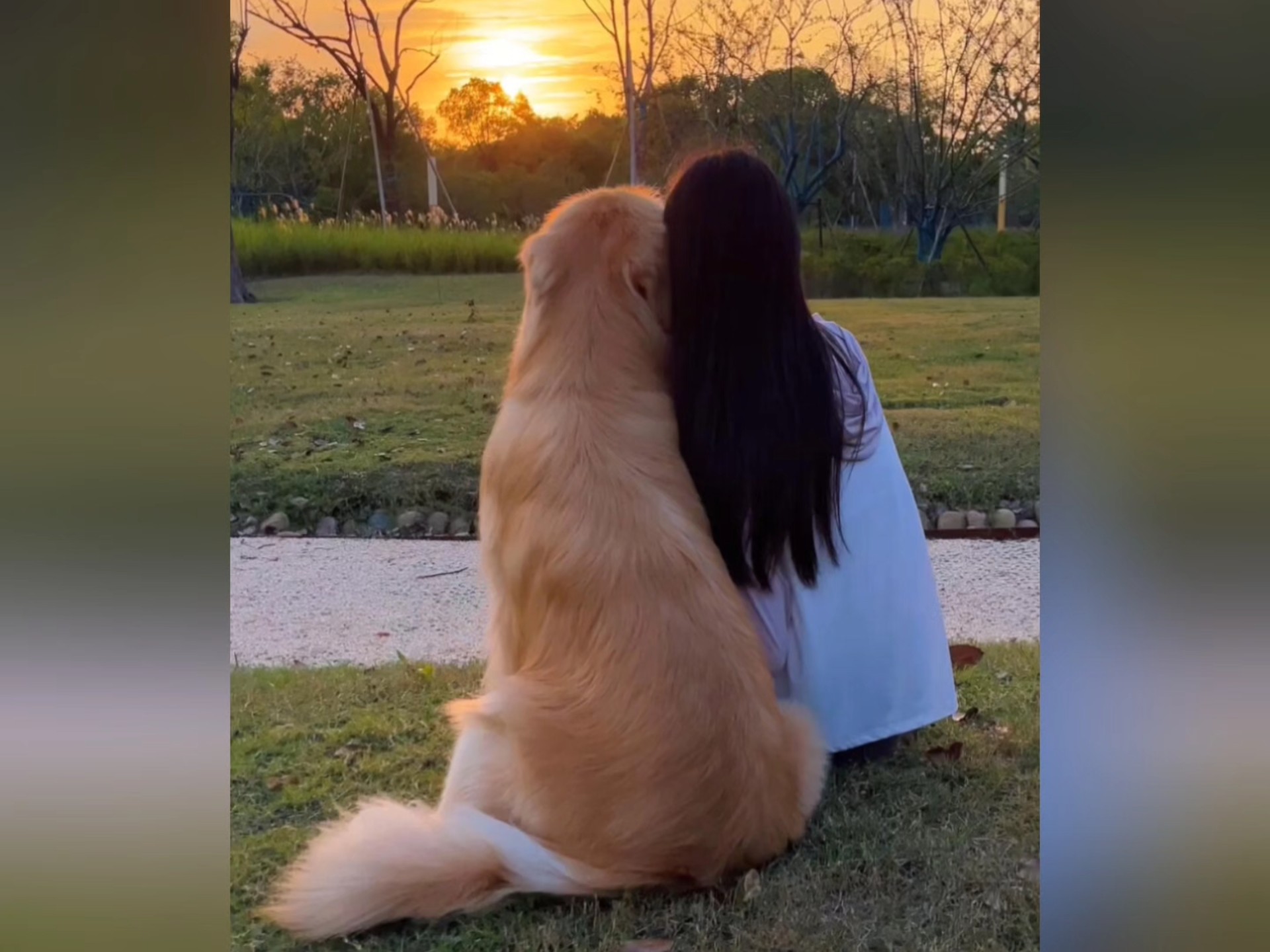 我终于知道现在年轻人为什么这么喜欢养宠物了