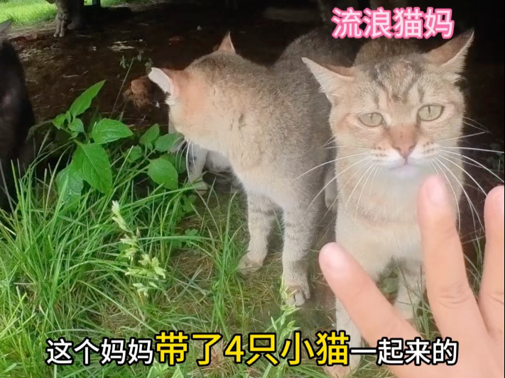 上午晴空万里 下午大雨来袭