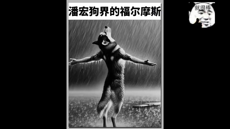潘宏不愧是狗界的福尔摩斯，不仅懂狗还能看狗识人，全网最懂狗子