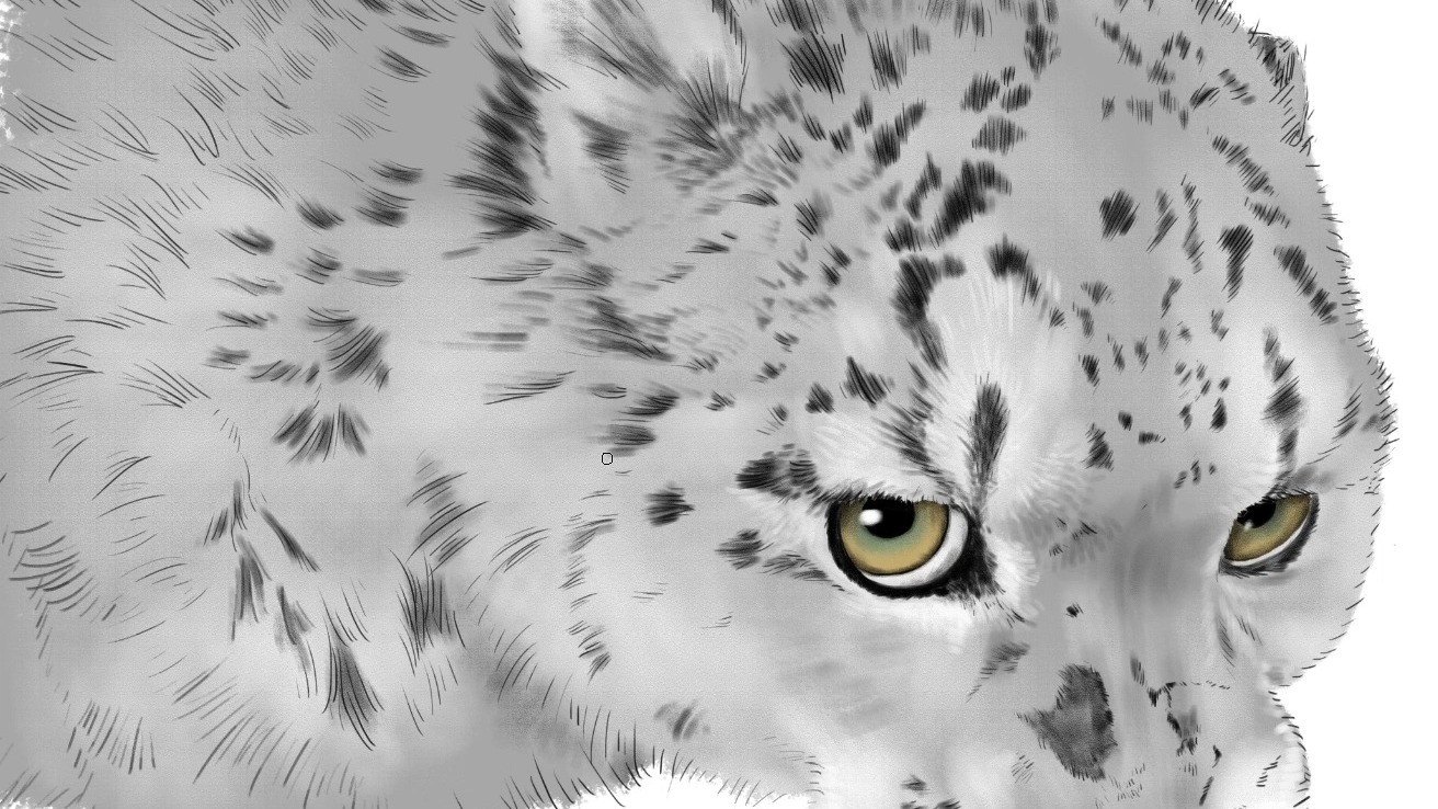 西野动物园凌小芒再出一图