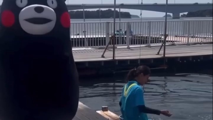 熊本熊 迷惑行为大赏