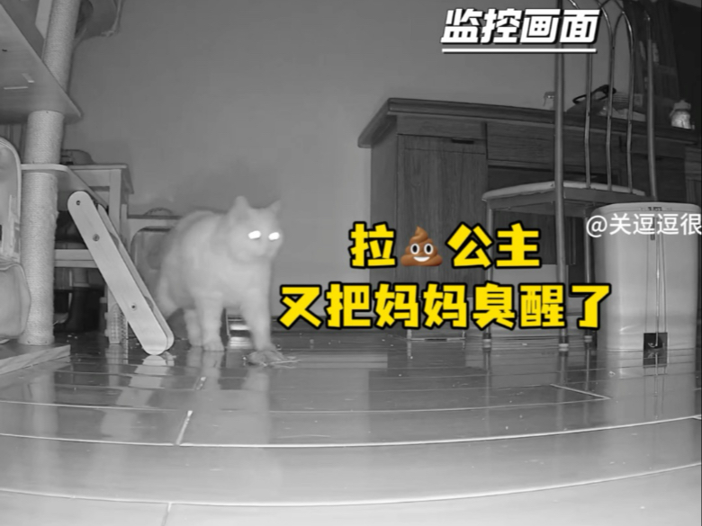 拉屎公主又把妈妈臭醒了