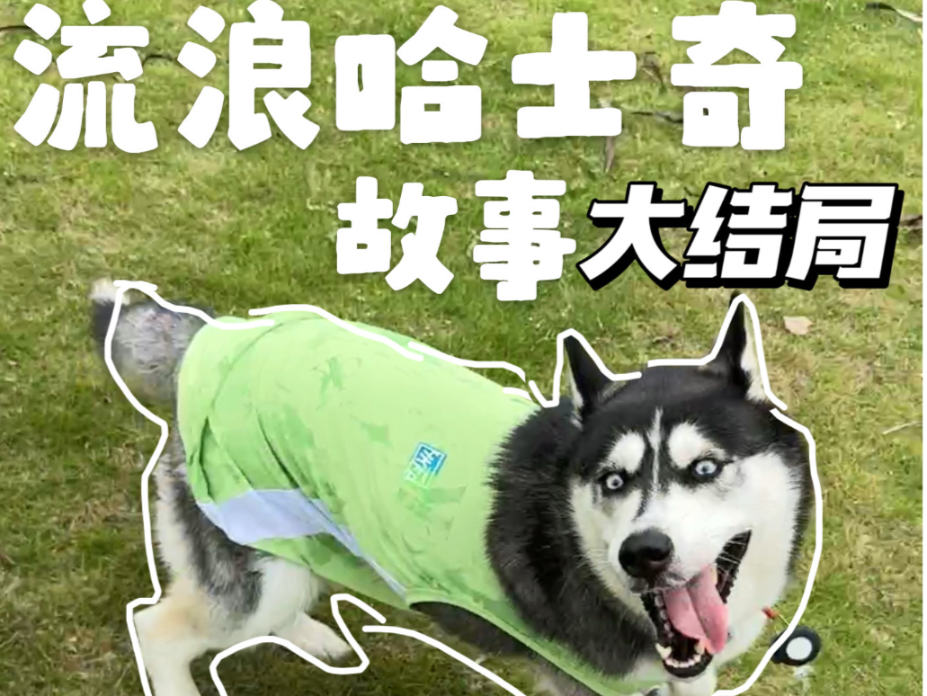 放心，是你想要的结局