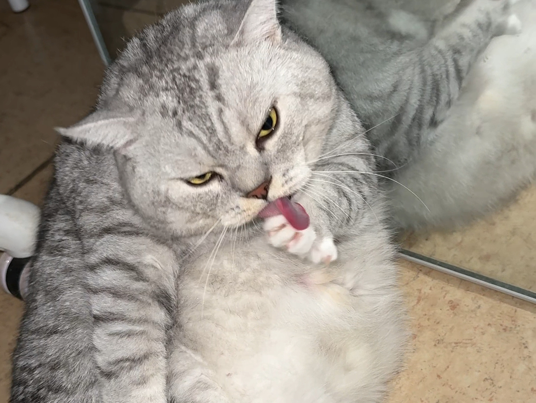 大壮吃饱进房间洗脸，怕房间门关了