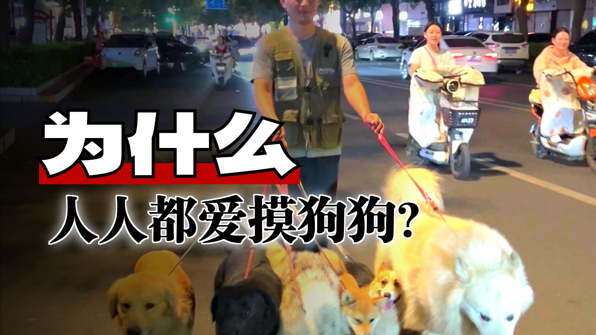 我以为带它们会被路人嫌弃，结果···