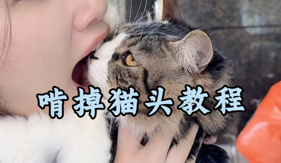 如何啃掉你的猫的头